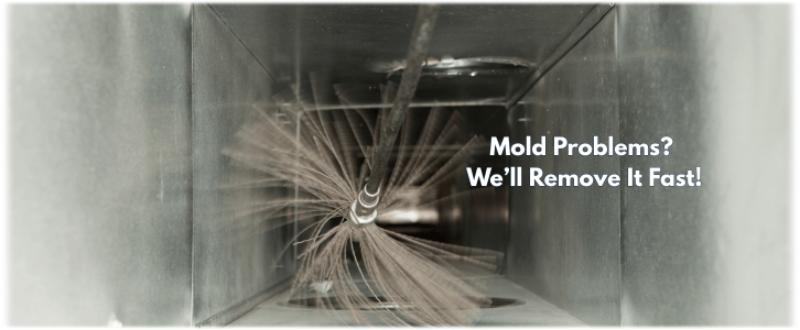 Air Duct Mold Removal in Duluth GA