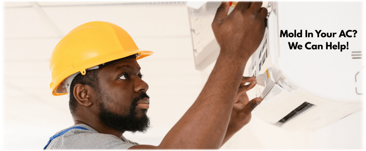 HVAC Mold Removal Duluth GA